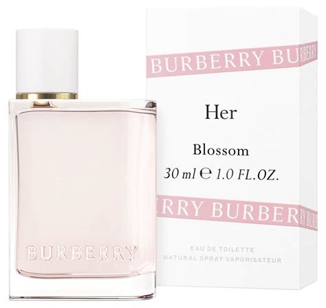 burberry rouge|her von burberry duftbeschreibung.